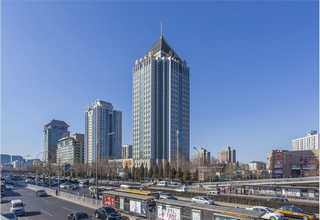 专业ERP技术指导